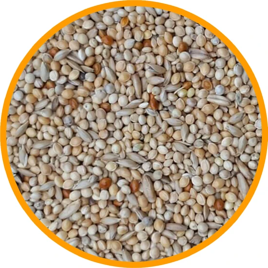 Karışık Muhabbet Kuşu Yemi - 1 kg